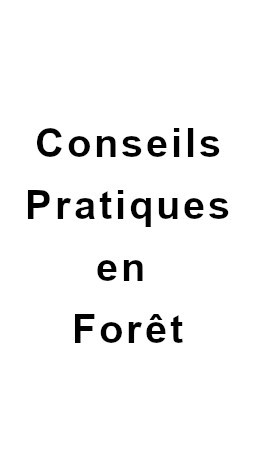 Conseils Pratiques en Foret